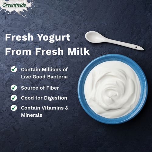 Yogurt Cup Plain