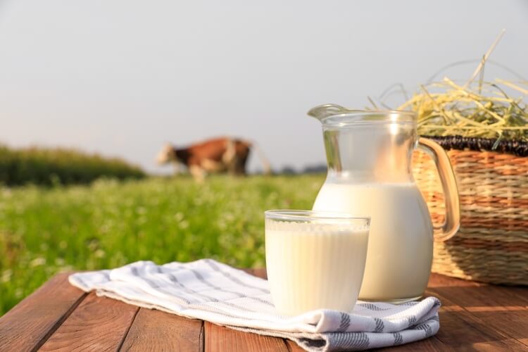 Greenfields Jersey Milk: Rahasia Nutrisi Superior untuk Individu Aktif Yang Hidup Sehat