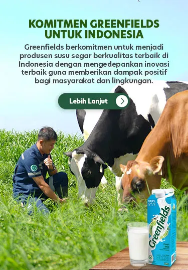 Promo Banner